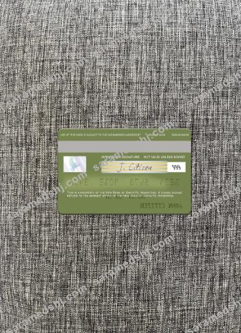 Argentina New Bank of Santa Fe visa card photolook back